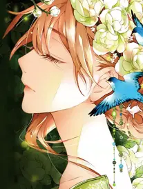 漫画改编作品画格里的城的卷册索引卡